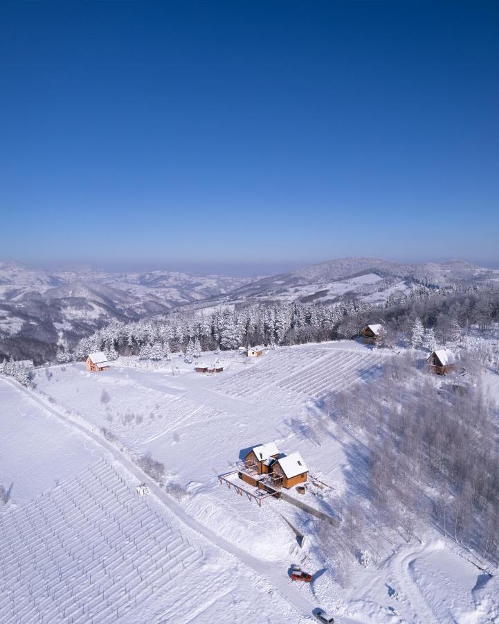 Cortina Resort Ivanjica Luaran gambar